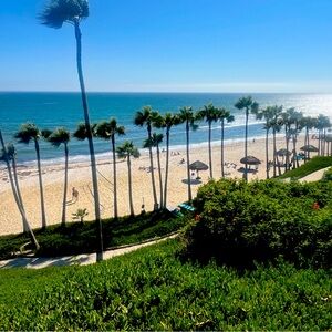 Meet your Posher, Amalia